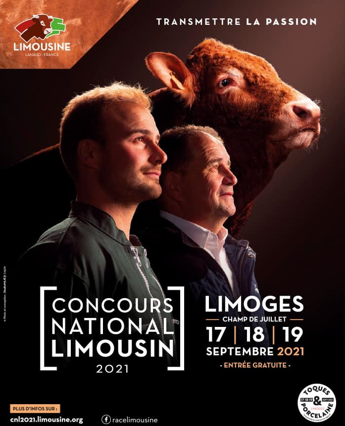 Le concours national de la race bovine limousine fait son retour à Limoges du 17 au 19 septembre