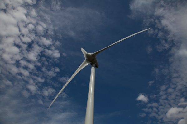 La forêt de Sarlande (24) menacée par un projet éolien