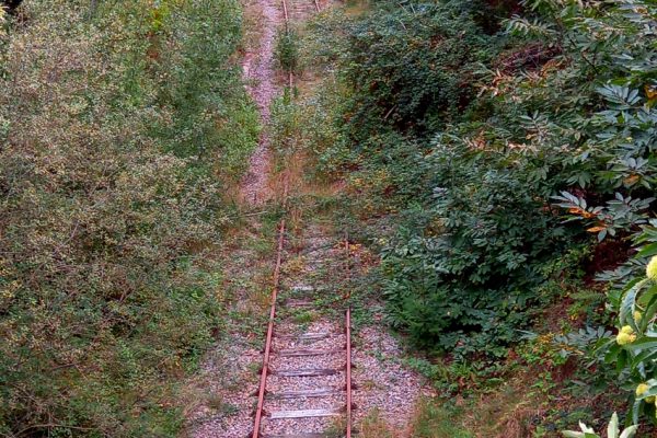 Coussac-Bonneval : l’appel pour la revitalisation des lignes ferroviaires du quotidien
