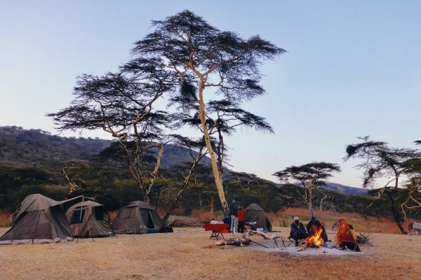 Vayres : Des voyages safari pour soutenir les habitants de Tanzanie