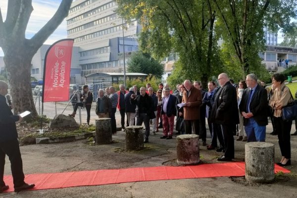 Où en sont les études vétérinaires à Limoges ?