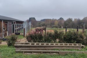 A la découverte d&rsquo;Elephant Haven à Bussière-Galant