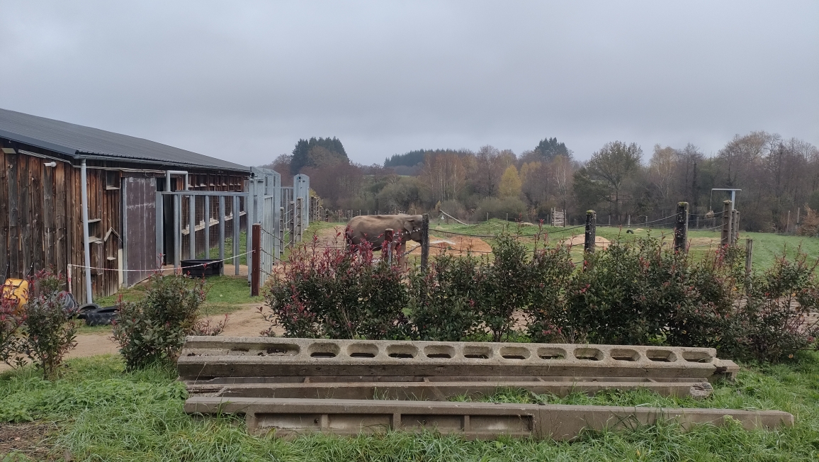A la découverte d&rsquo;Elephant Haven à Bussière-Galant