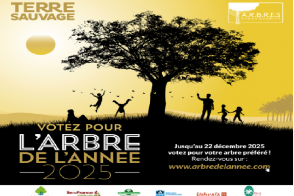 🌳 Un tulipier de Couzeix candidat à l’Arbre de l’Année