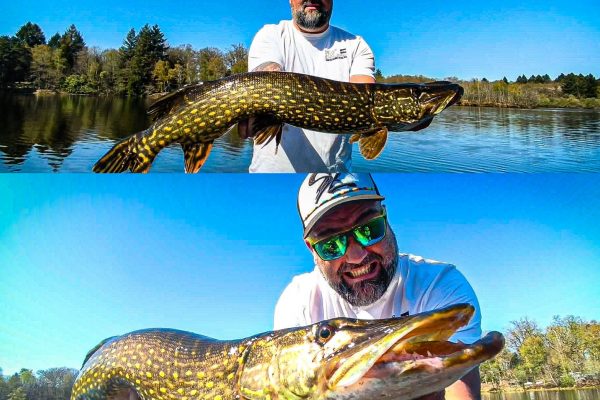 🎣 Pêche au brochet : conseils pour réussir l’ouverture ce 25 avril !