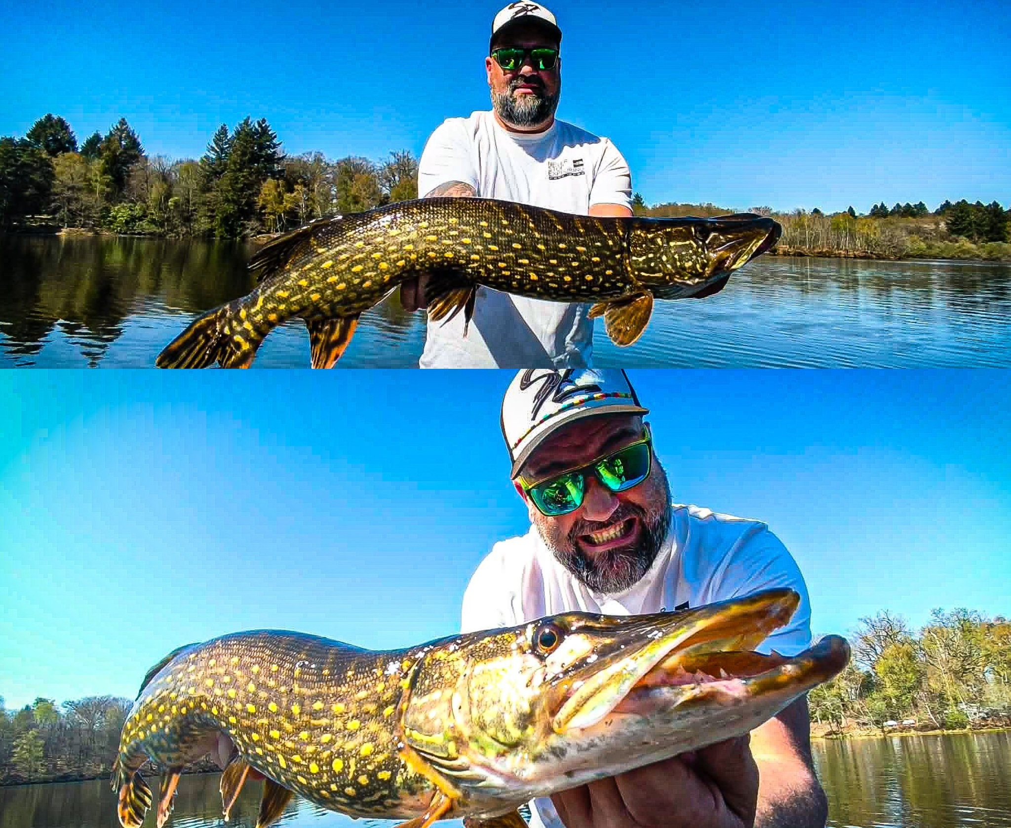 🎣 Pêche au brochet : conseils pour réussir l’ouverture ce 25 avril !