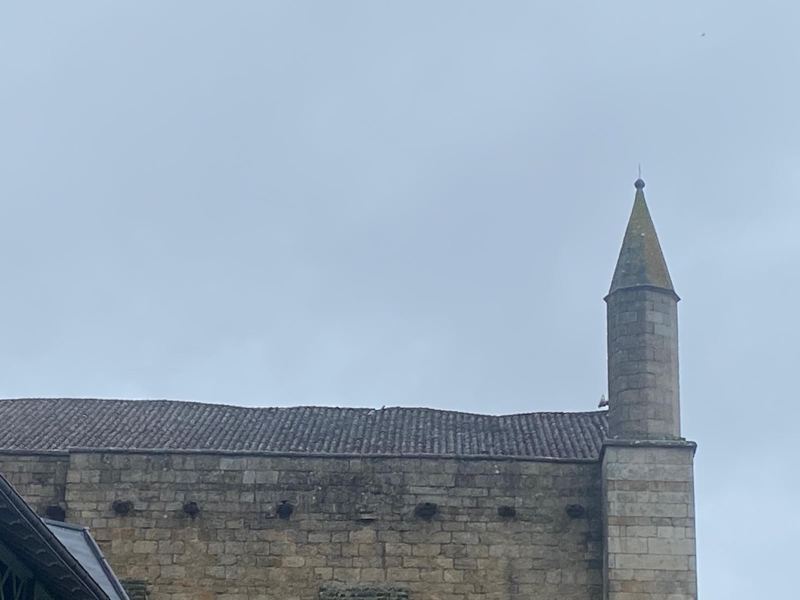 La collégiale de Saint-Junien nécessite des travaux d&rsquo;envergure