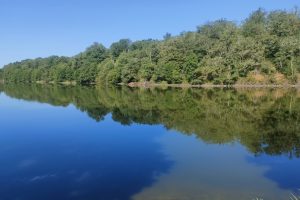 L&rsquo;Etang de La Pouge se révèle en silence aux curieux