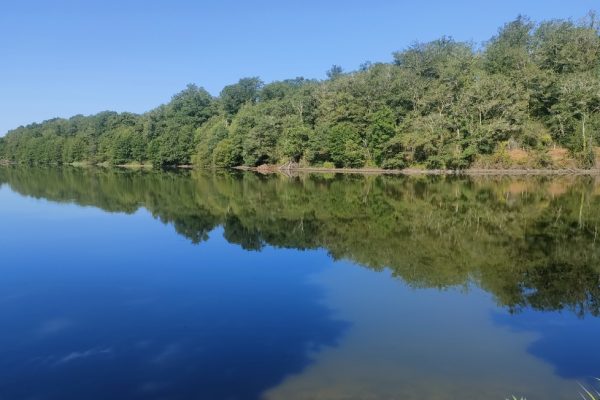 L&rsquo;Etang de La Pouge se révèle en silence aux curieux
