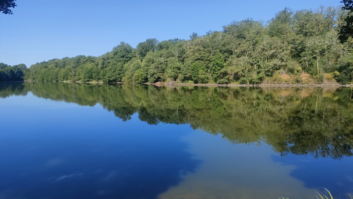 L&rsquo;Etang de La Pouge se révèle en silence aux curieux