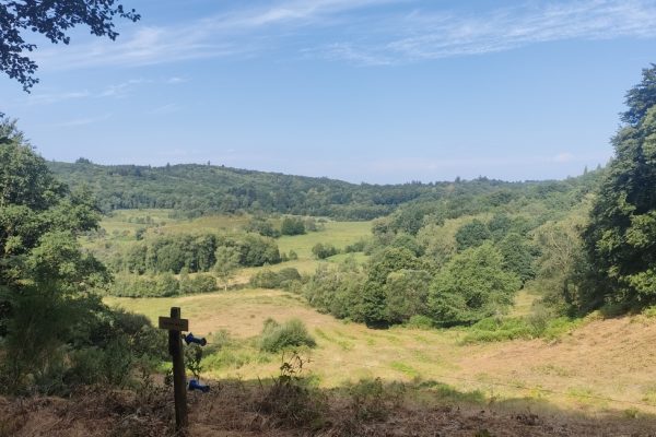 Tourbière des Dauges: 200 hectares de nature et 1300 espèces