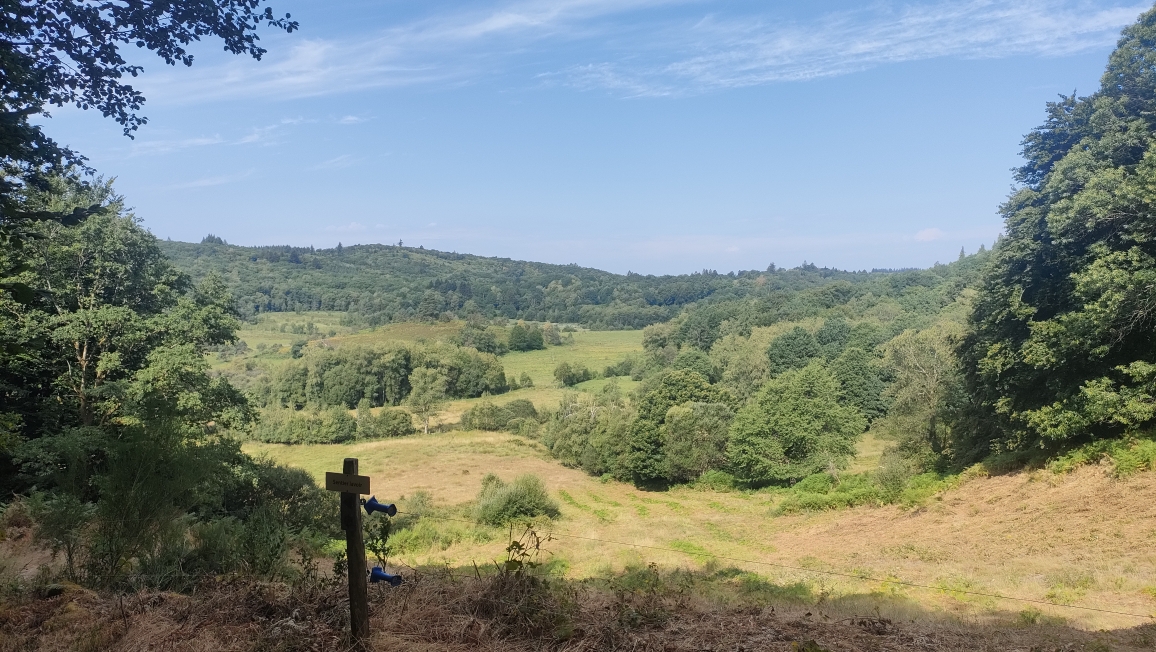 Tourbière des Dauges: 200 hectares de nature et 1300 espèces