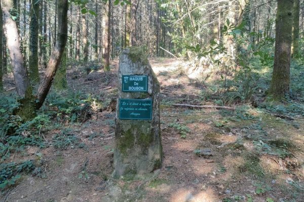 Cussac: La Forêt de Boubon et les caches des maquisards