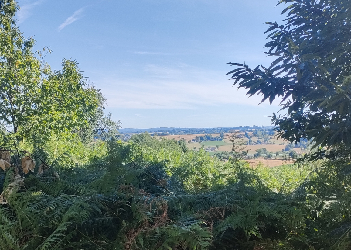 Dordogne: Le Puy des Ages, un site naturel à l&rsquo;équilibre fragile